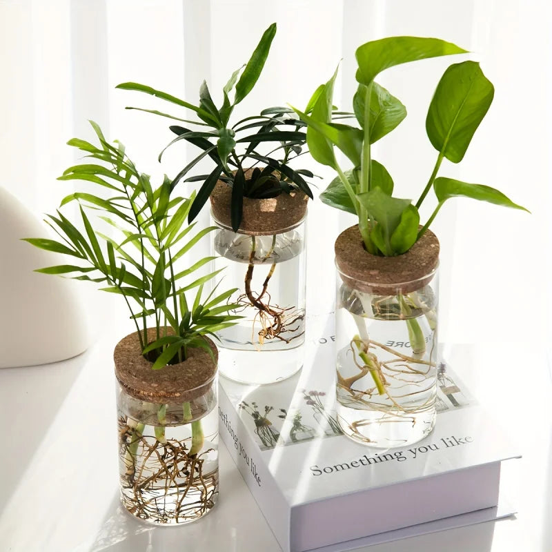 Hydro Nest