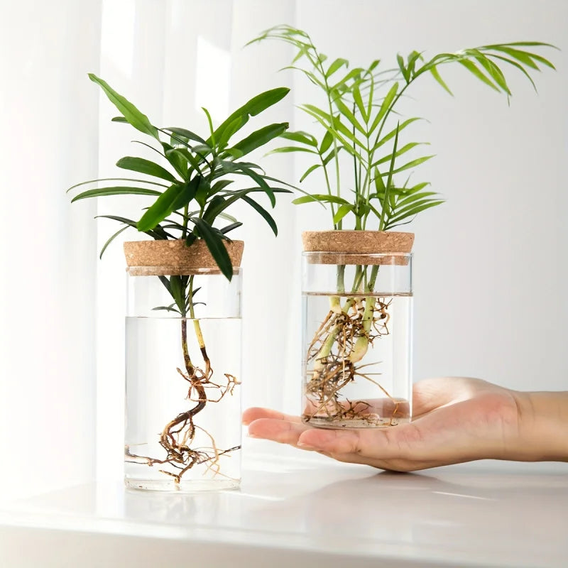 Hydro Nest