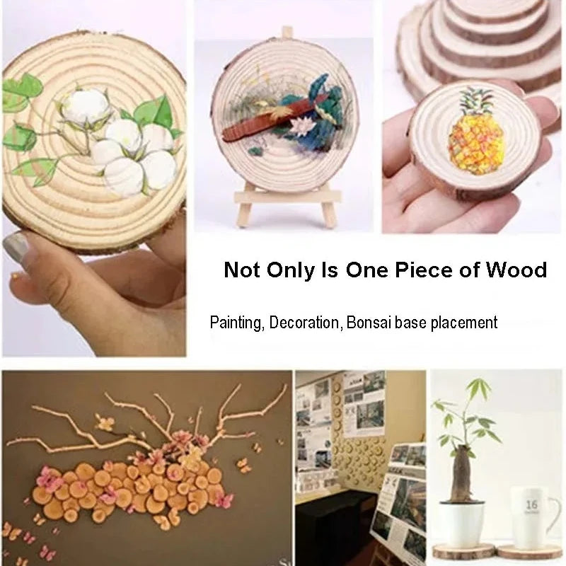 Pine Slice